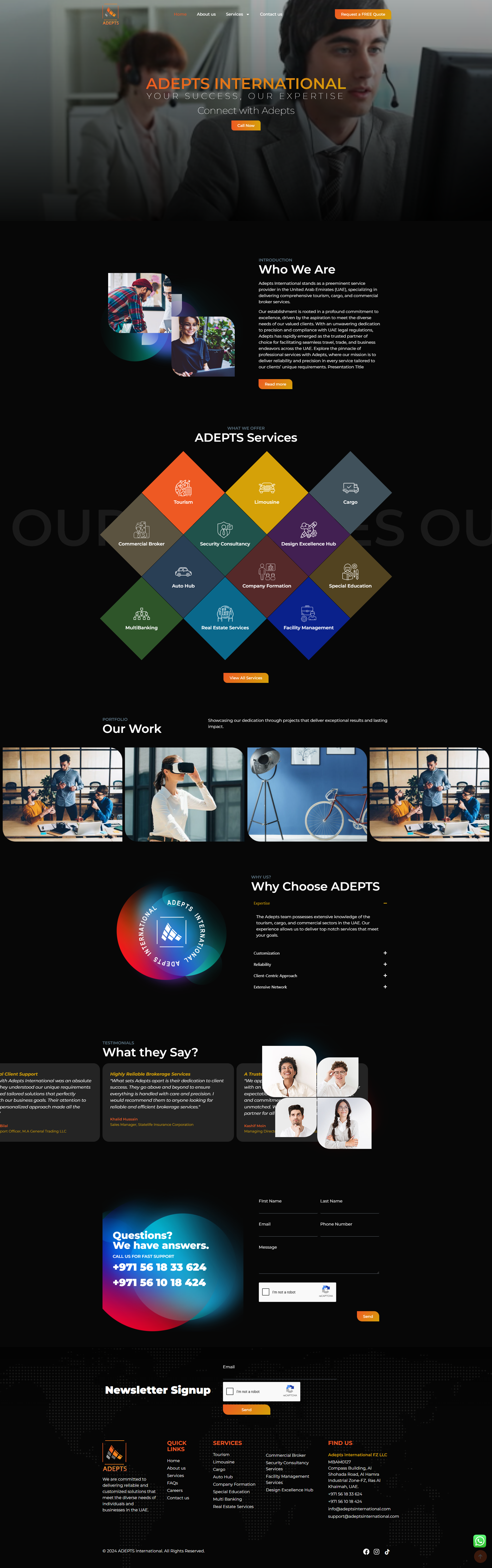 ADEPTS International Websites project