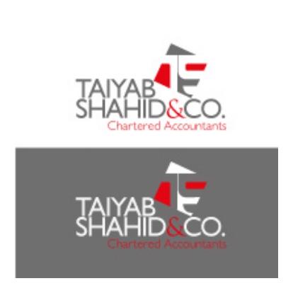 Taiyab Shahid & Co Logo